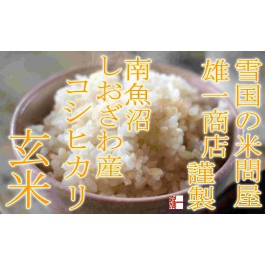 ふるさと納税 新潟県 南魚沼市 ●玄米● 生産者限定 南魚沼しおざわ産コシヒカリ