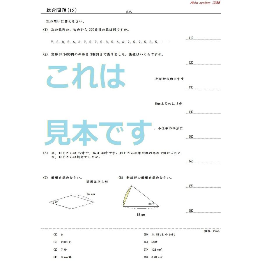 中学受験算数　総合問題