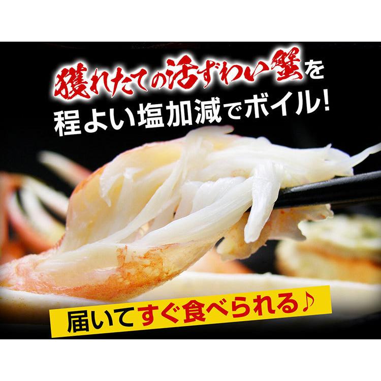 カニ かに 蟹 ズワイガニ 本ずわい足 総重量2.5kg 脚8〜12肩 正味2kg 5〜7人前 L〜2Lサイズ 焼き蟹 かに鍋 魚介類 海産物