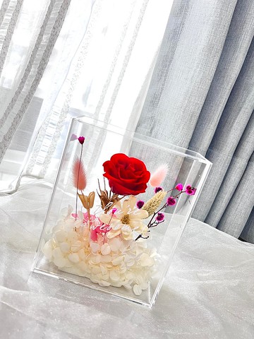 現貨 招財貓壓克力花盒x線燈  開幕 升遷 生日 節日 花禮