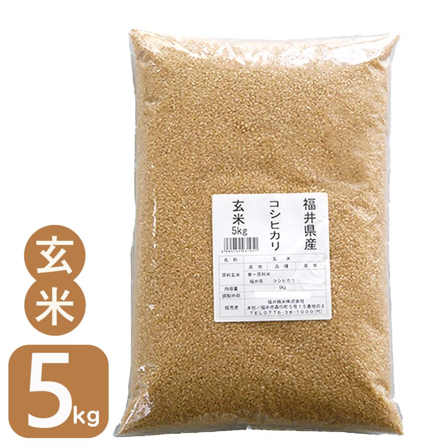 新米 米 玄米 5kg コシヒカリ 福井県産 令和5年産 送料無料