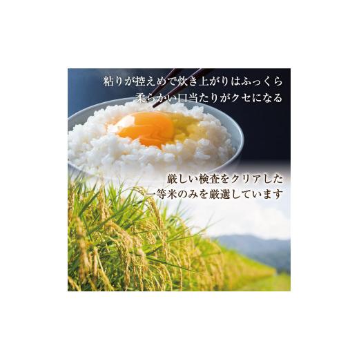 ふるさと納税 福岡県 添田町 令和5年産 福岡県産 ブランド米「夢つくし」白米 計20kg [a0248] 株式会社 ゼロプラス 添田町 ふるさと納税