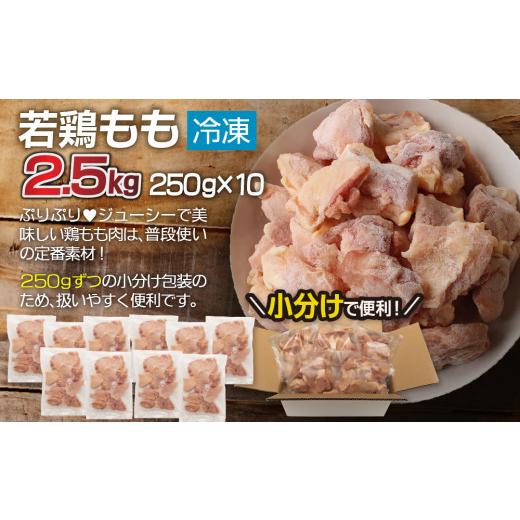 ふるさと納税 宮崎県 新富町 小分けで便利［250g×10袋］若鳥もも肉 個別凍結 宮崎県産