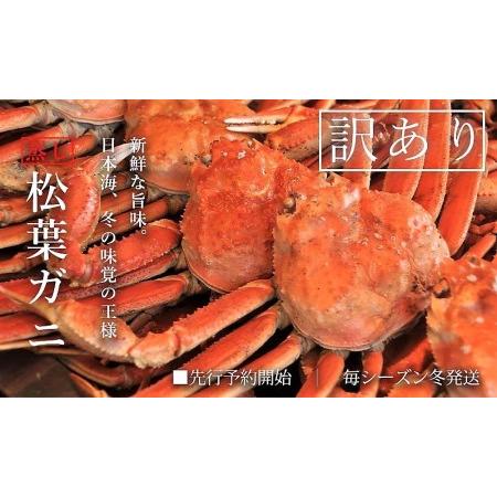 ふるさと納税 訳あり足折れ松葉ガニ 1kg前後 蒸し   ずわいがに 訳アリ かに TM16 0726 鳥取県江府町