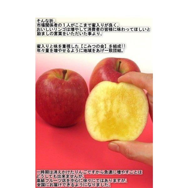 こみつ 樹上完熟りんご 葉とらず栽培 約2kg 6〜13玉 青森県産 贈答規格 JA津軽みらい 小玉の果実に溢れる蜜と濃厚な味！高徳を厳選したブランド林檎