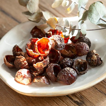 洗衣小籃莓  零垃圾的天然清潔力-無包裝/二手包材  環保綠色果實