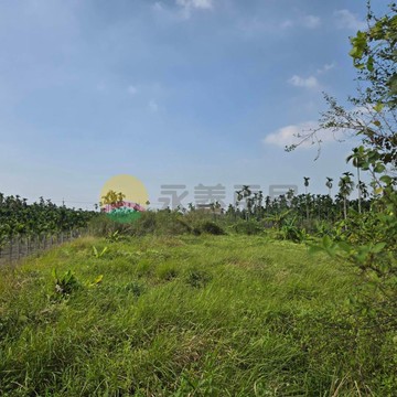 屏東新埤3.3分農地｜臨10米台189｜屏東縣新埤鄉新華段