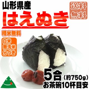 新米 米 お米 ポイント消化 はえぬき 750g (5合) 玄米 令和5年度産 山形県産 送料無料 メール便 ゆうパケ