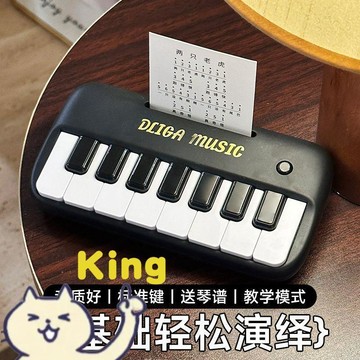 【雖貴但值得】迷你電子琴 口袋小鋼琴 兒童初學電子琴 女孩音樂玩具 可彈奏樂器 早教琴鍵 多功能音樂琴 幼兒啟蒙鋼琴