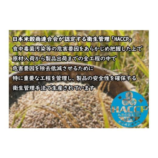 ふるさと納税 新潟県 新潟市 米 ６ヶ月定期便 令和５年産 新潟 コシヒカリ ５kg 白米 精米 精米仕立てを発送致します