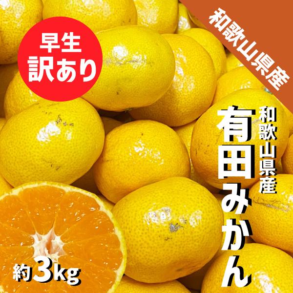 和歌山県産 有田みかん 訳あり 早生 約3kg (35玉前後) 有田産 みかん ゆら 田口 宮川 早生品種 ミカン ご家庭用