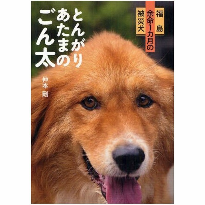 とんがりあたまのごん太 福島余命1カ月の被災犬 通販 Lineポイント最大0 5 Get Lineショッピング