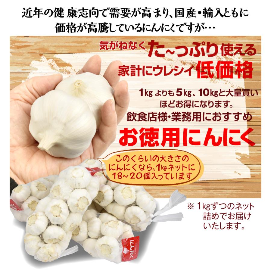 にんにく 10kg 大特価 中国産 にんにく（1kg×10袋）嘉定種 大蒜 送料無料 食品 野菜 国華園