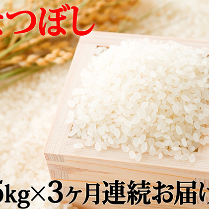 北海道滝川産ななつぼし 5kg 3ヶ月連続｜北海道 滝川市 米 お米 白米 ご飯 ななつぼし ナナツボシ 定期便 連続お届け