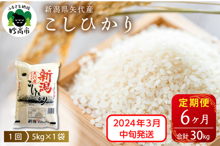 新潟県矢代産コシヒカリ5kg（計30kg）全6回※沖縄県・離島配送不可