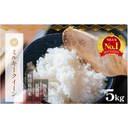 ふるさと納税 福井県 あわら市 令和5年産新米 ミルキークイーン 5kg 無洗米 特別栽培米 低農薬 《食味値85点以上！こだわり極上無洗米》 ／ 福井県 あわら 北…