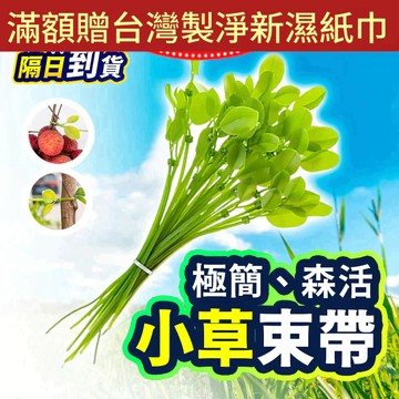 【折折小舖】小草造型束帶 (療癒系/可重複用) 數據線收納 裝飾束帶 園藝綁帶 賣萌神器