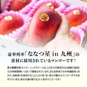  宮崎県産完熟マンゴー 「 レッドクイーン 」 L×3玉 
