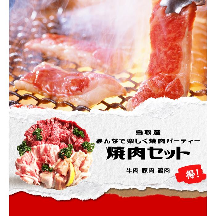 焼肉セット 1kg(３〜5人前) 牛肉 豚肉 鶏肉 焼き肉 バーベキュー BBQ 鳥取県産ファミリーセット たっぷり１キロ 送料無料