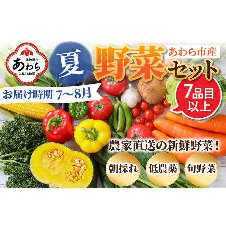 ふるさと納税 農家直送 夏野菜セット 1箱 7品目以上 《元気に育った新鮮野菜！》／ 季節 夏 野菜 ボックス BOX セット セレクト .. 福井県あわら市