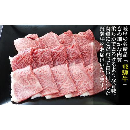 ふるさと納税 牛肉 飛騨牛 焼き肉 セット 赤身 モモ 又は カタ 300ｇ 黒毛和牛 Ａ5 美味しい お肉 牛 肉 和牛 焼肉 BBQ バーベキュー 【岐阜県池.. 岐阜県池田町