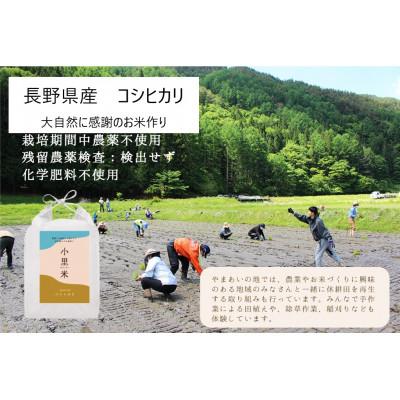 ふるさと納税 辰野町 令和5年産　コシヒカリ(玄米5kg)　大自然に感謝の栽培　芳醇な味わいな『小里米』