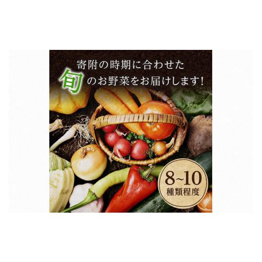 ふるさと納税 京都府 京丹後市 野菜 定期便 6回旬の京丹後野菜セットS（栽培期間中　農薬・化学肥料不使用）＜京都 オーガニック アクショ…