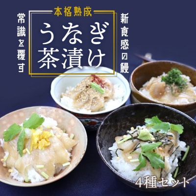 本格こだわり熟成 うなぎ龍鰻茶漬けセット