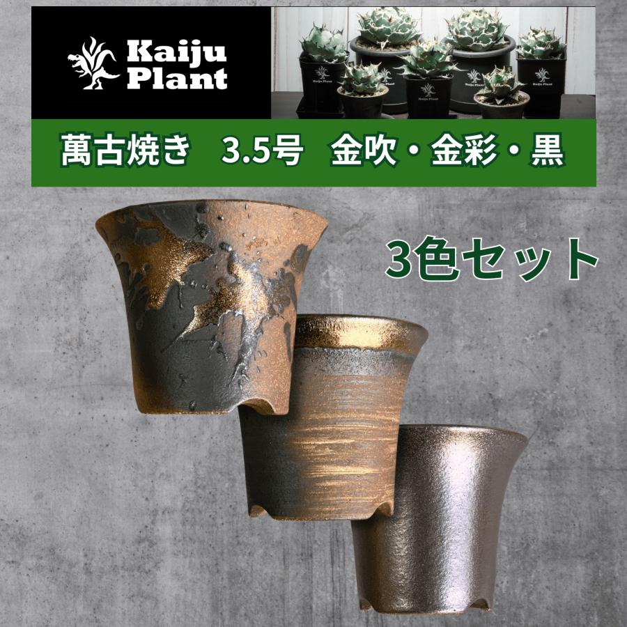 Kaiju Plant 萬古焼 3.5号 陶器鉢 ラッパ アガベ 多肉 塊根 用 金吹 金彩 黒 3色 3鉢セット | LINEショッピング