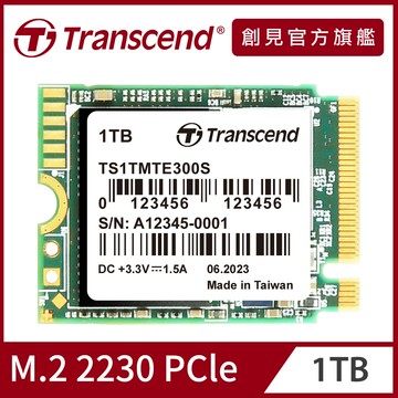 Transcend 創見 MTE300S M.2 2230 PCIe Gen3x4 1TB SSD固態硬碟(TS1TMTE300S)