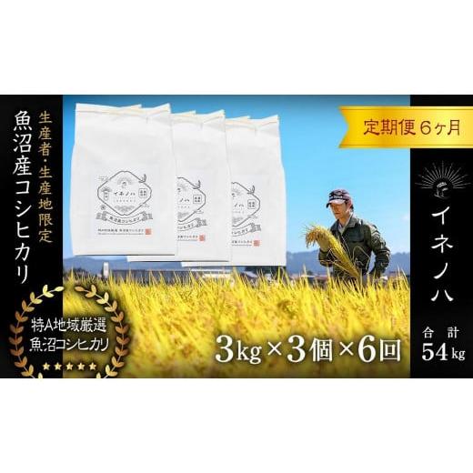 ふるさと納税 新潟県 十日町市 ＜定期便・全6回＞魚沼産コシヒカリ「イネノハ 」精米(3kg×3)×6回