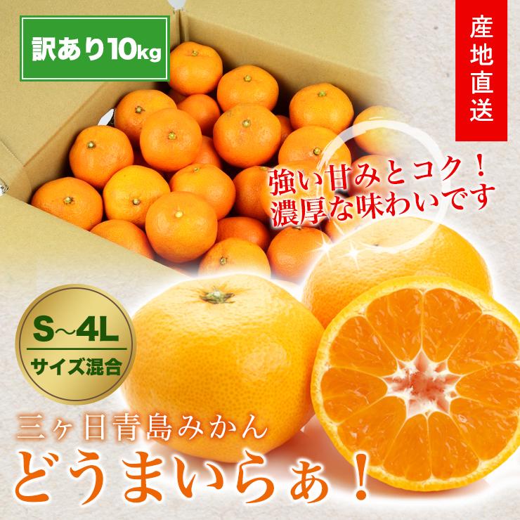  三ヶ日 青島 みかん 10kg 送料無料 訳あり どうまいらぁ！ S 4L サイズ不揃い 三ヶ日みかん 訳ありみかん 産地直送 農家直送 ミカン 蜜柑