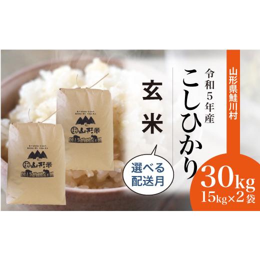 ふるさと納税 山形県 鮭川村 令和5年産 鮭川村 コシヒカリ30kg（15kg×2袋）