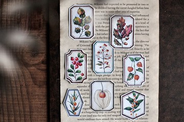 秋日森林紙膠帶-植物/秋天/採集/標本/拼貼/手帳/3.5cm