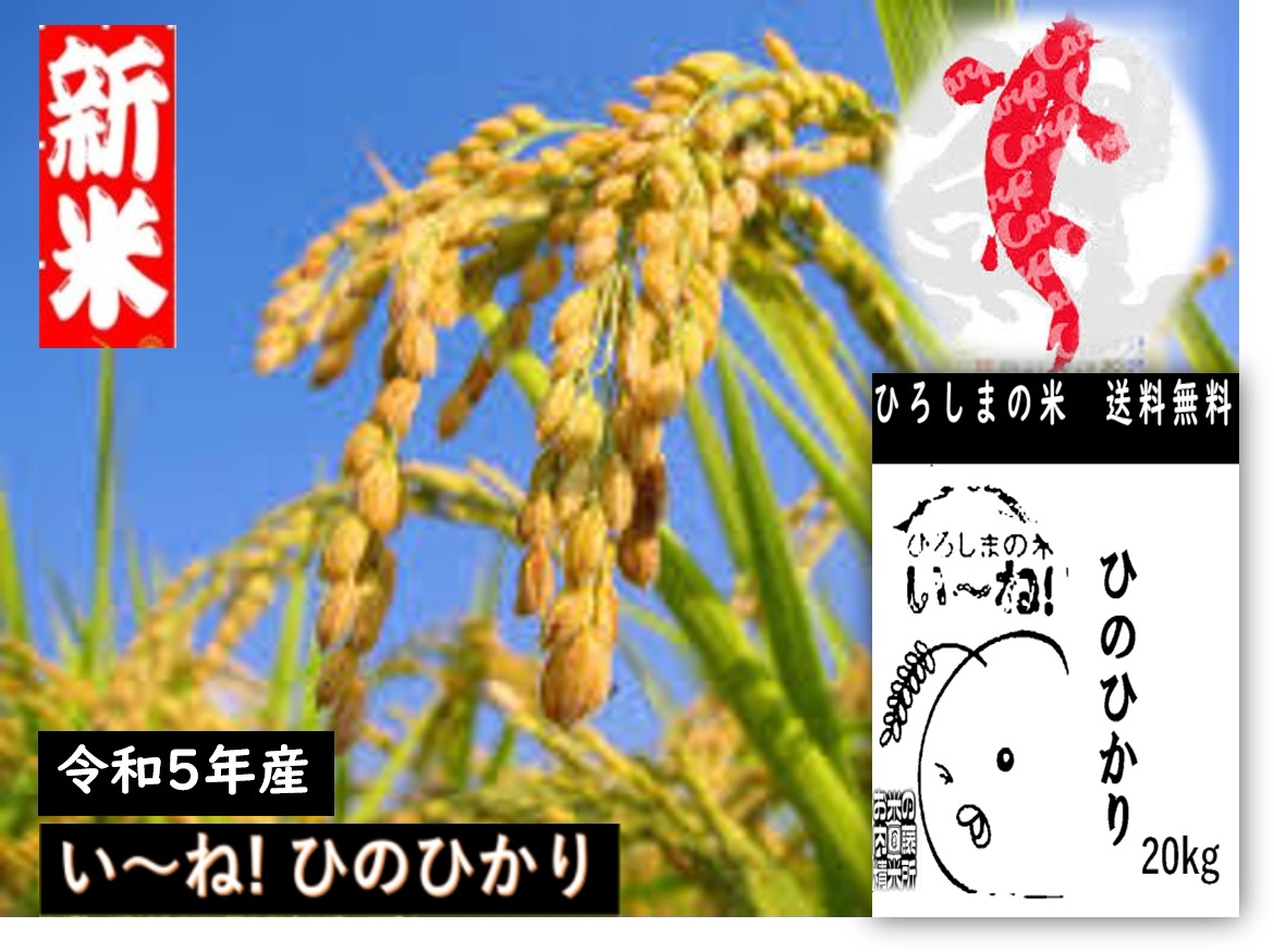 広島県産ヒノヒカリ20ｋｇ(精米後18ｋｇ)売れ筋甘み絶妙な粘り香り光沢..昔食べていた懐かし味がするお米