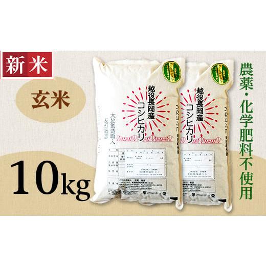 ふるさと納税 新潟県 長岡市 E1-11新潟県長岡産コシヒカリ玄米10kg