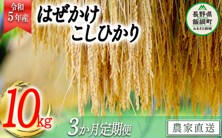 米 こしひかり 10kg × 3回 令和5年産 黒柳さんのお米 はぜかけ 沖縄県への配送不可 2023年11月上旬頃から順次発送予定 コシヒカリ 白米 精米 お米 信州 75000円 予約 農家直送 長野県 飯綱町 [0434]