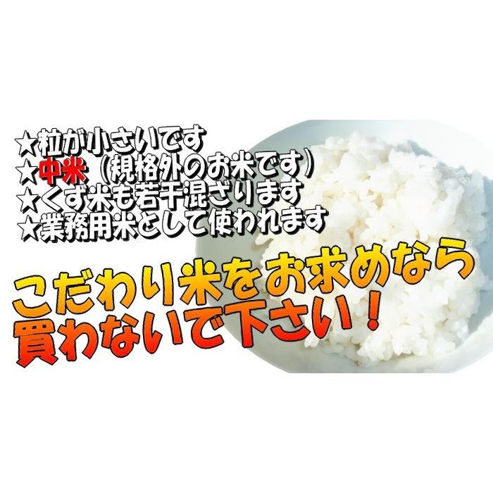 訳あり 新潟県産 中米 コシヒカリ 10kg 従来コシヒカリ 令和5年産