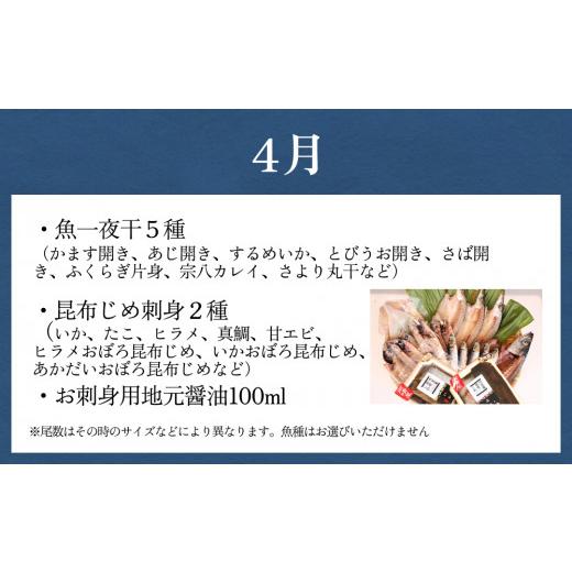 ふるさと納税 富山県 氷見市 氷見堀与季節の干物・海産物詰め合わせ 富山県 氷見市 干物 魚 魚介類 加工品 ブリ ホタルイカ エビ 醤油