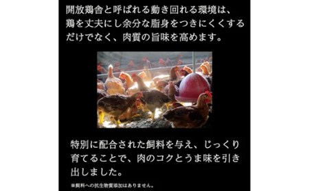 「おいしい総攻撃、手羽先の陣！」伊達鶏の手羽先塩焼き 50本 福島県伊達市 F20C-572