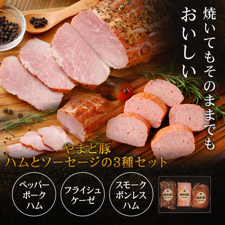 味・彩セット ギフト 709 [冷蔵] お歳暮 御歳暮 2023 食品 内祝い お礼 ハム ギフトセット ハムギフト ソーセージ 詰め合わせ 食べ物 美味しい 贈り物