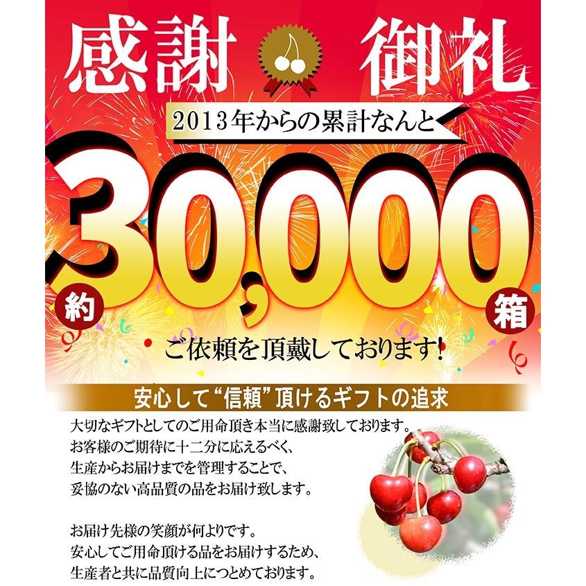 お中元 さくらんぼ 紅秀峰 ２Ｌ玉 500g 鏡詰め 山形 特秀 2024 山形県産 サクランボ 化粧箱入 産地直送 送料無料 ギフト 贈り物 贈答 お中元