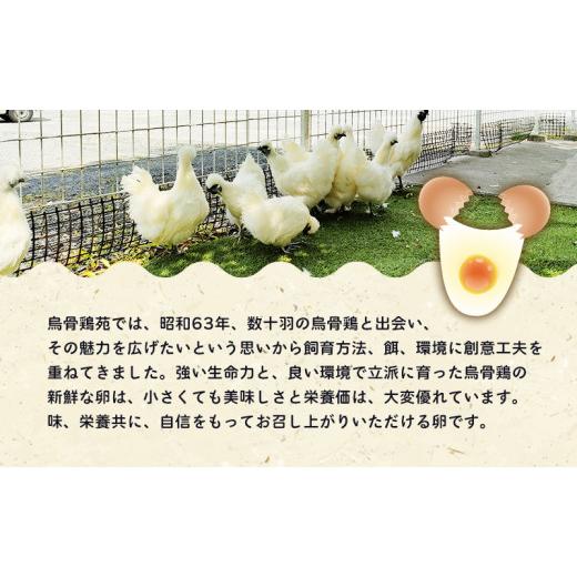 ふるさと納税 静岡県 森町 遠州森町　生で食べて欲しい烏骨鶏の卵　30個