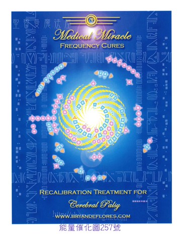能量催化圖AC257號- 腦性麻痺