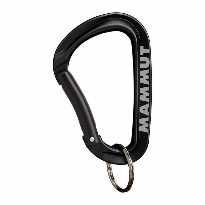 マムート MAMMUT アウトドア ミニカラビナ ワークホース キー