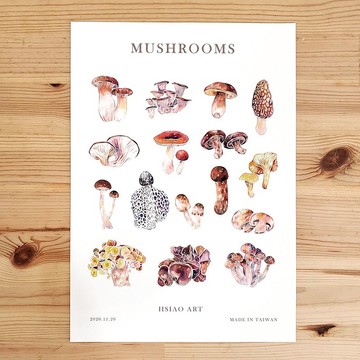 香菇圖鑑-水彩/手繪/插畫/裝飾畫/海報
