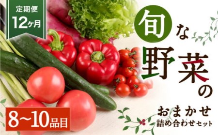 旬な野菜おまかせ詰め合わせセット 定期便12か月コース