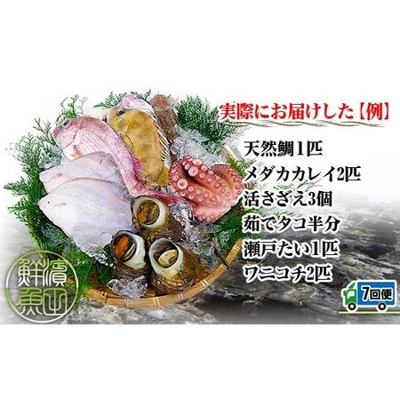 ふるさと納税 創業100年の魚屋さんが選び抜いた旨い鮮魚直送便〜 香川県坂出市