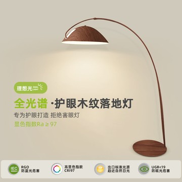 免運 可開票 立燈 落地燈 檯燈 釣魚燈落地燈美式復古高級感氛圍燈中古風胡桃色客廳沙發背景墻燈