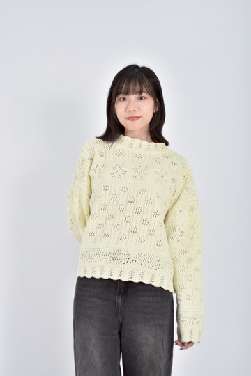 (F) 質感鏤空杏色毛衣